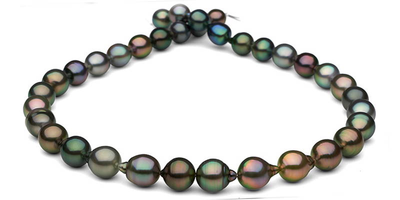 Multi-Color Tahitian Pearls